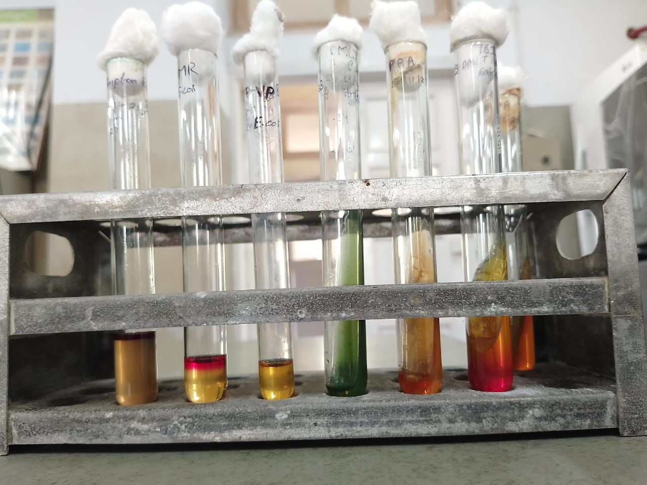 Laboratory Image